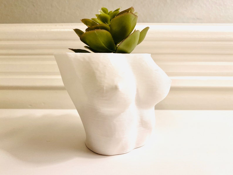 Sexy Erotic Art Planter Pot. Erotic Gift for Him. Erotic Deco - Etsy