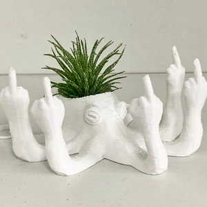 Fucktopus Airplant Pot Funny Airplant Home Decoration Stand zdjęcie 4