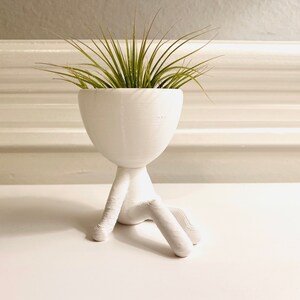 Sitting Air Plant Holder jerry. Air Plant Pot / Unique Gift. Beautiful ...