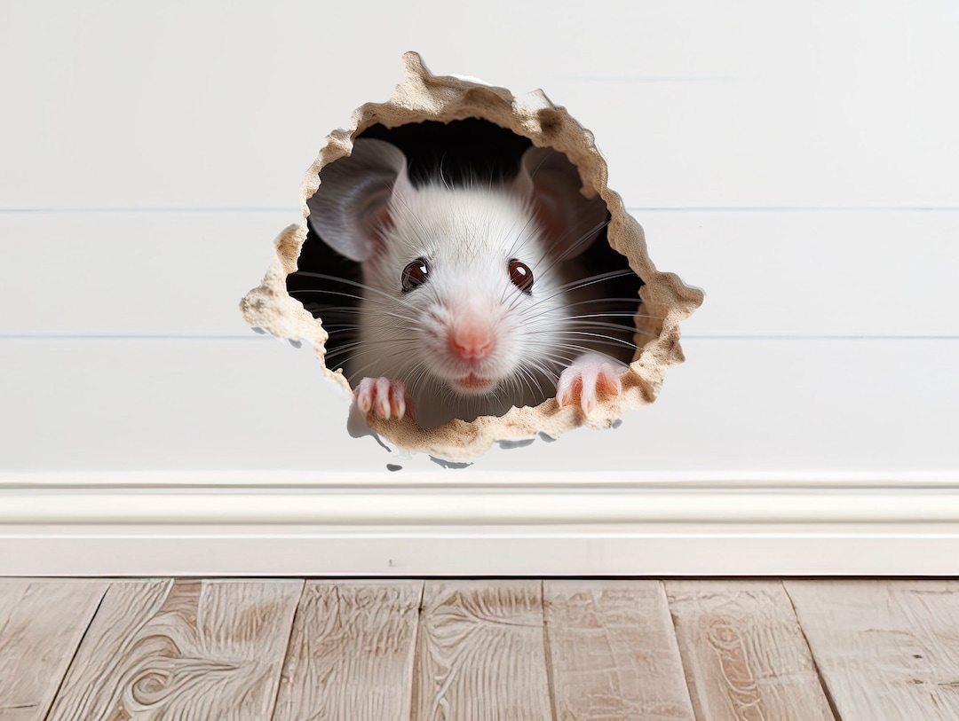 Nursery Mouse Wall Decal Decor, Mouse Hole Decal Sticker for Wall ...