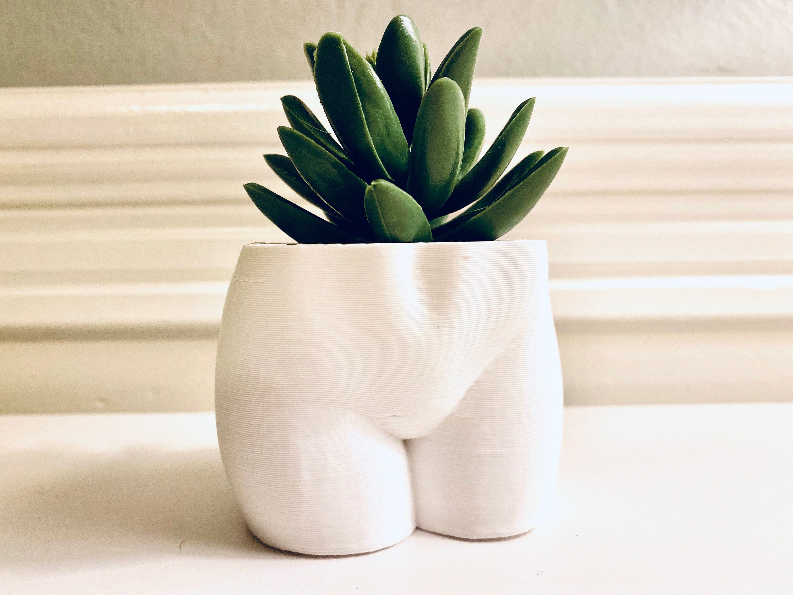 Sexy Erotic Art Planter Pot. Erotic Gift for Him. Erotic Nudity Deco - Etsy
