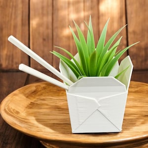 Peut inclure: Un récipient à emporter blanc avec des baguettes, utilisé comme pot pour une plante succulente verte. Le récipient est posé sur une surface en bois.