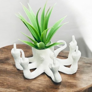 Funny Fucktopus Air Plant Pot - Unique 3D Printed Octopus Airplant Stand - Hilarious Home Decor - Funny Gift for Friends and Coworkers