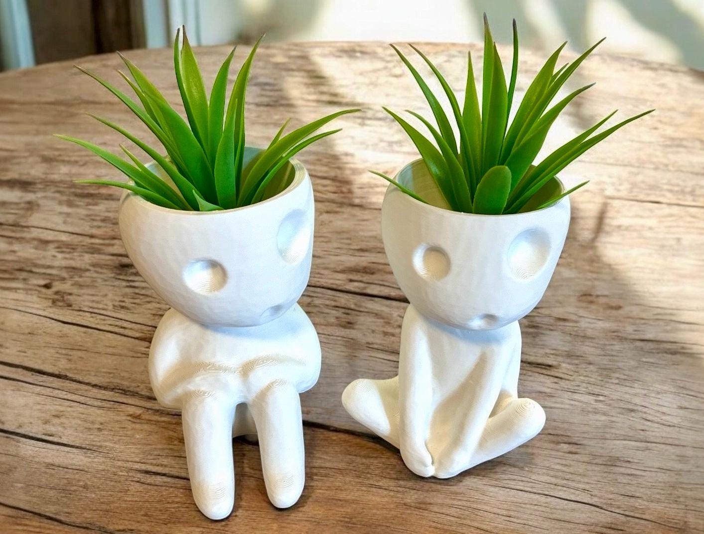 Airplant Holders 