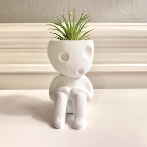 Kodama Tree Spirit „Keera“ Air Plant Holder. Beautiful Zen Garden Nature Home Office Decoration.