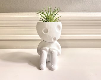 Kodama Tree Spirit „Keera“ Air Plant Holder. Beautiful Zen Garden Nature Home Office Decoration.