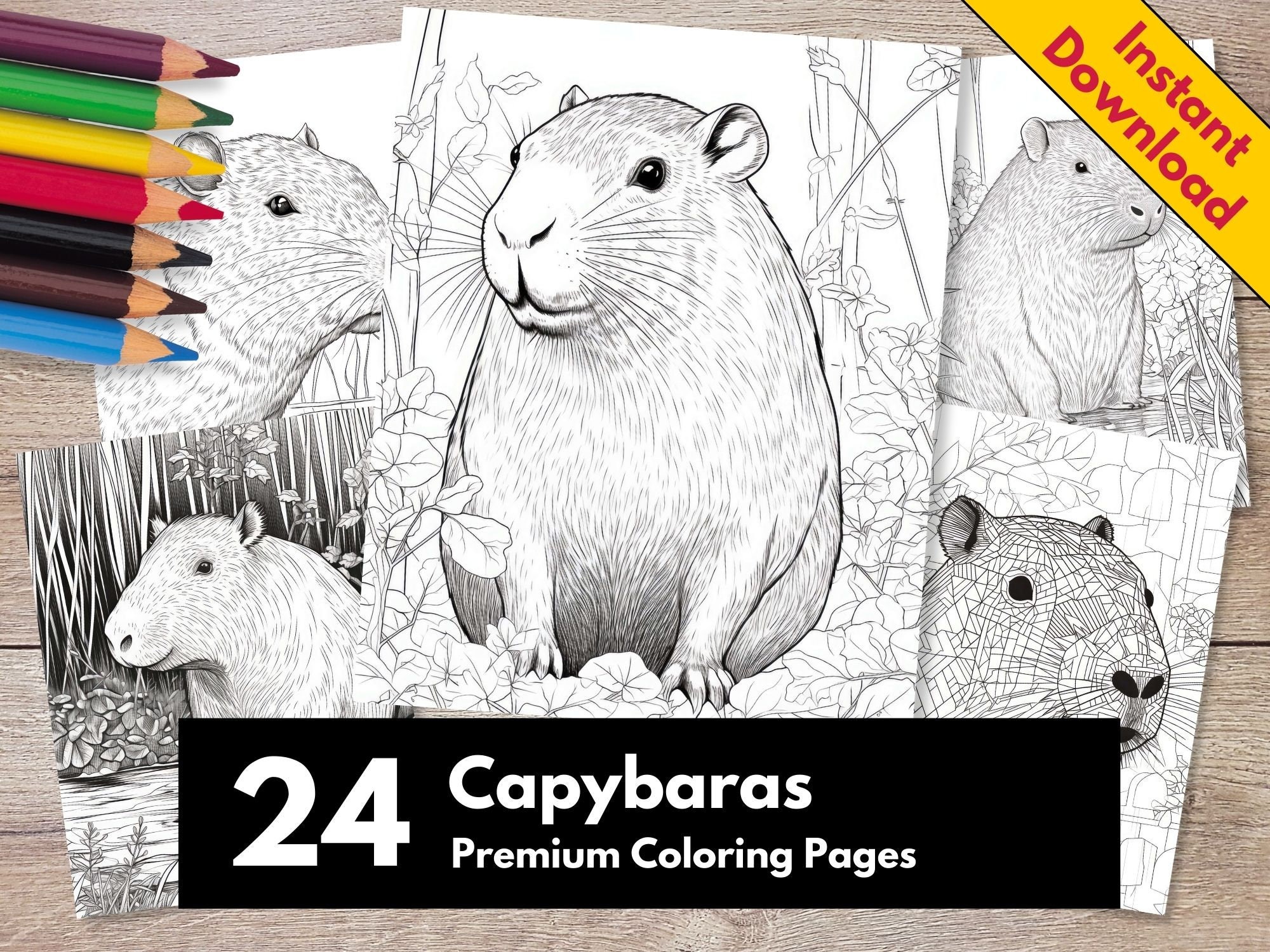 Pin by Gina on coloring  Capybara, Animal coloring pages, Adult coloring