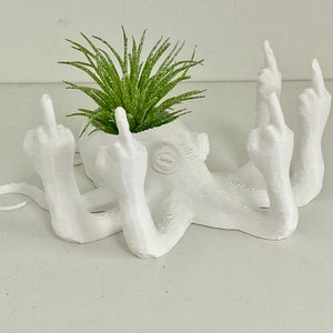 Fucktopus Airplant Pot Lustiger Airplant-Heimdekorationsständer Bild 6