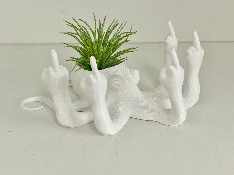 Fucktopus Airplant Pot Funny Airplant Home Decoration Stand zdjęcie 6