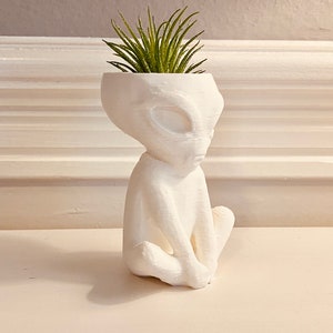 Grumpy Alien Air Plant Holder / Airplant Pot. Unique Gift. Beautiful Home Office Decoration.