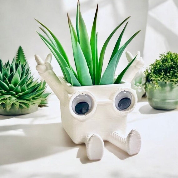 Fioriere Vasi Levanti Aria Vaso Bonsai Vaso Da Fiori Da Tavolo Fioriera Da Giardino Pianta Da Interni Ufficio Fiore Vaso Succulento Ornamento Decorazioni La Casa Q231019 Da 17,02 € | DHgate - Foto 12