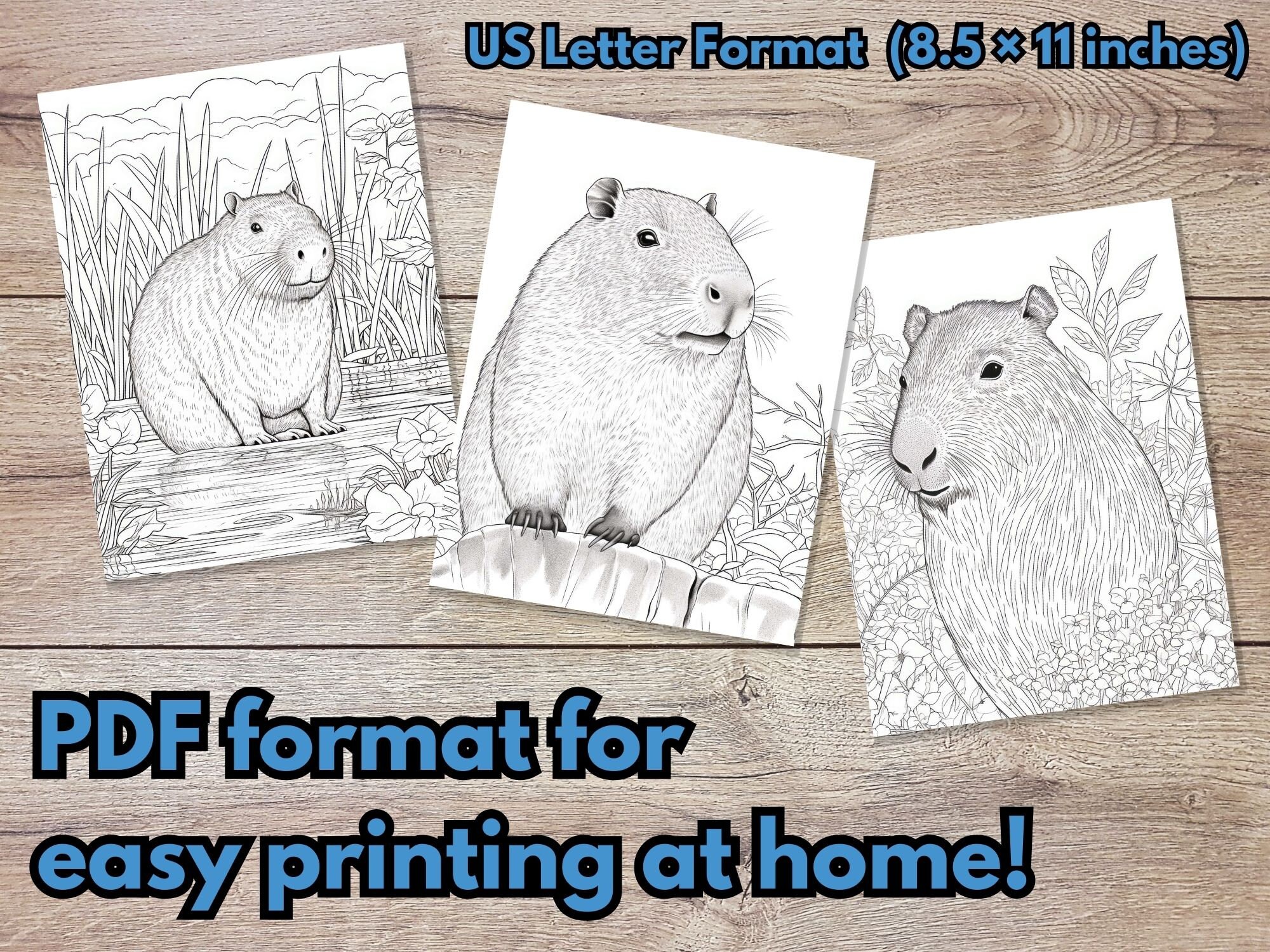 Pin by Gina on coloring  Capybara, Animal coloring pages, Adult coloring