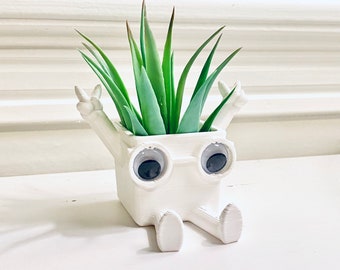 Planty, the Plant Pot. Air Plant Holder, Cute Flower Pot, Succulent Planter, Unique Gift for Home or Home Decoration