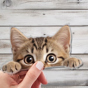 Cute Peeking Cat Wall Decal - Enchanting Wall Decor for Cat Lovers - Whimsical Wall Art for Home, Nursery, Playroom Setup