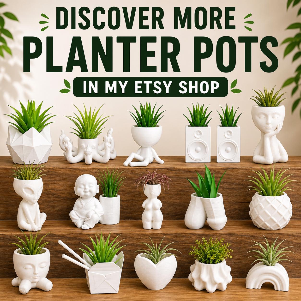 musicplant セット Music Speaker Air Plant Holder. Succulent Planter / Airplant
