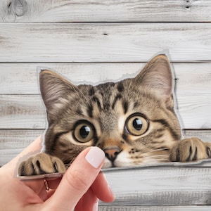 Lindo adhesivo de pared con gato que mira fijamente: decoración de pared encantadora para amantes de los gatos: arte de pared caprichoso para el hogar, la guardería y la sala de juegos