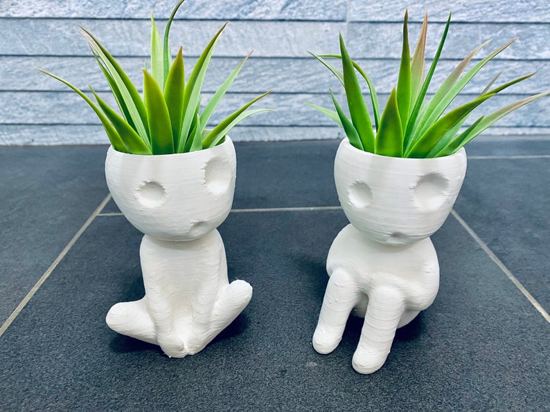 2 Cute Air Plant Holders „Kooki & Keera“ - Kodama Tree Spirit Airplant Pots