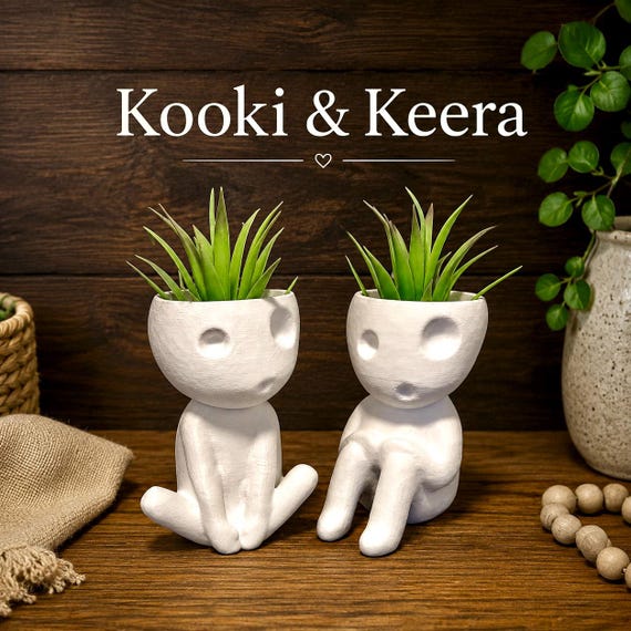 Kodama Airplant Holders 