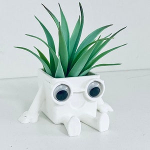 Kaktus Topf - Etsy