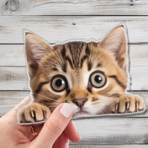 Lindo adhesivo de pared con gato que mira fijamente: decoración de pared encantadora para amantes de los gatos: arte de pared caprichoso para el hogar, la guardería y la sala de juegos