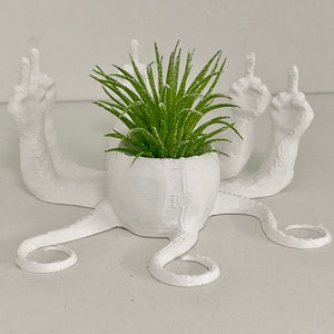 Fucktopus Airplant Pot Funny Airplant Home Decoration Stand zdjęcie 5