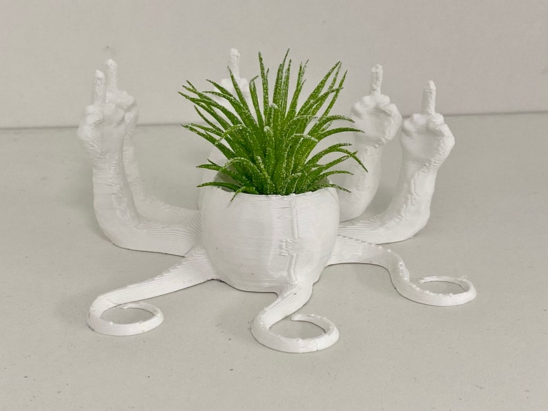 Fucktopus Airplant Pot Funny Airplant Home Decoration Stand zdjęcie 5
