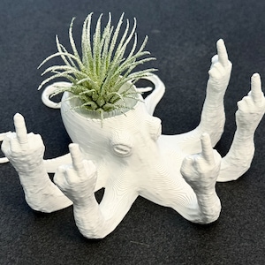 Fucktopus Airplant Pot Funny Airplant Home Decoration Stand zdjęcie 2