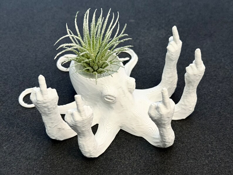 Fucktopus Airplant Pot Lustiger Airplant-Heimdekorationsständer Bild 2