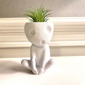 Kodama Tree Spirit „Kooki“ Air Plant Holder. Beautiful Zen Garden Nature Home Office Decoration.