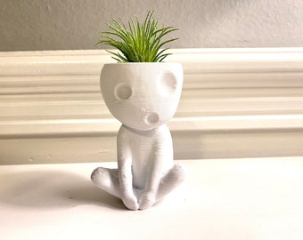 Kodama Tree Spirit „Kooki“ Air Plant Holder. Beautiful Zen Garden Nature Home Office Decoration.