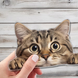 Lindo adhesivo de pared con gato que mira fijamente: decoración de pared encantadora para amantes de los gatos: arte de pared caprichoso para el hogar, la guardería y la sala de juegos