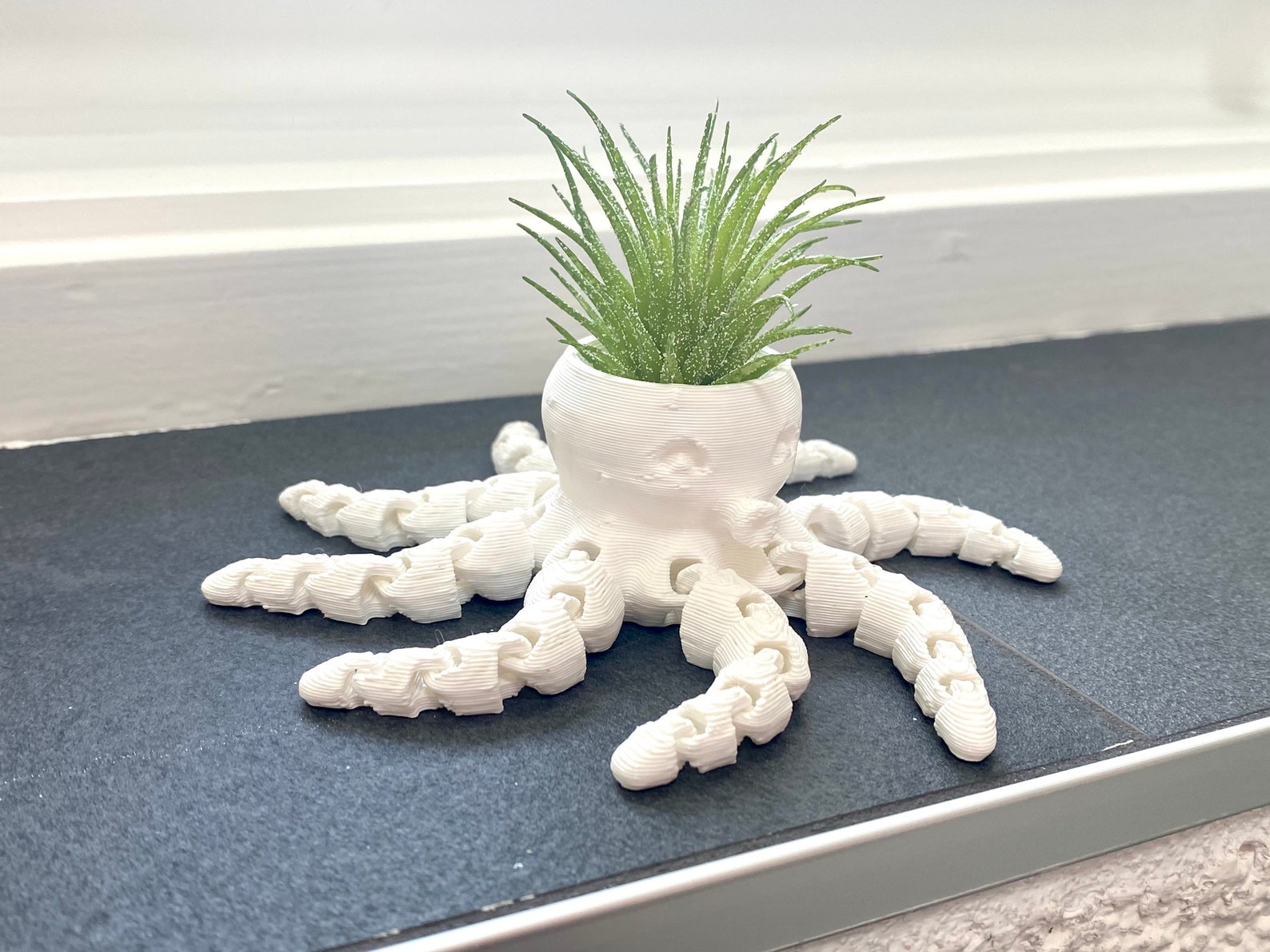 Octopus air plant holder
