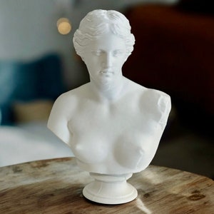 Venus de Milo Desktop Bust - 3D Printed Roman History Bookshelf Statue - Ancient Sculpture Home Decoration Gift