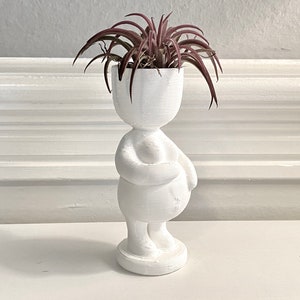 Pregnant Patty Air Plant Holder / Airplant Pot. Unique Congratulations Pregnancy Gift