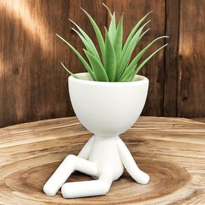 Sitzender Luftpflanzenhalter “Jerry”. Luftpflanzentopf / Einzigartiges Geschenk. Schöne Zen Garten Dekoration.