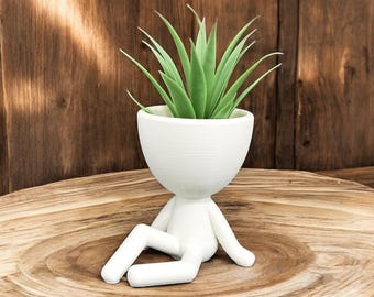 Sitting Air Plant Holder “Jerry”. Air Plant Pot / Unique Gift. Beautiful Zen Garden Home Office Decoration.
