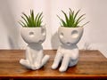 Airplant Holders "Kooki & Keera" - Charming Japanese Folklore Tree Spirit Kodama Plant Pots - 3D Printed Plant-Based Bio Plastic Decor Gift
