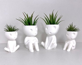 Air Plant Holder Family. Beautiful Nature Zen Home Decoration.