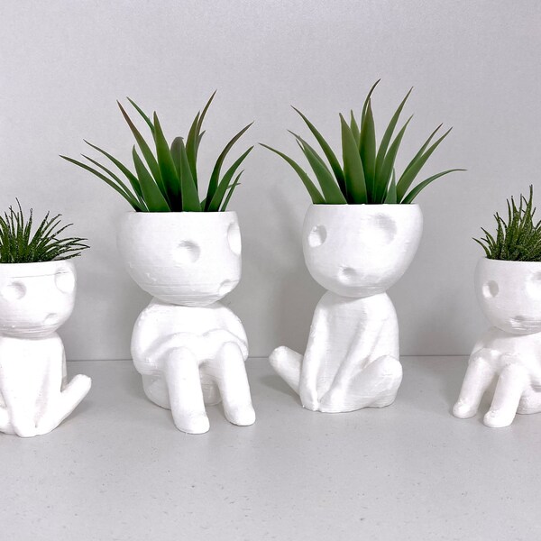 Air Plant Holder Etsy