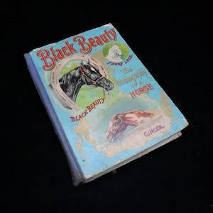Vintage Black Beauty Buch ~ Vintage Kinderbuch ~ 1905 W B Conkey Co. ~ Scarce Black Beauty ~ 50 Illustrationen ~ Sammlergeschenk