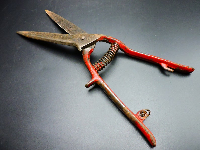 Vintage Red Handled Gardening Shears Old Grass Trimming Etsy Canada