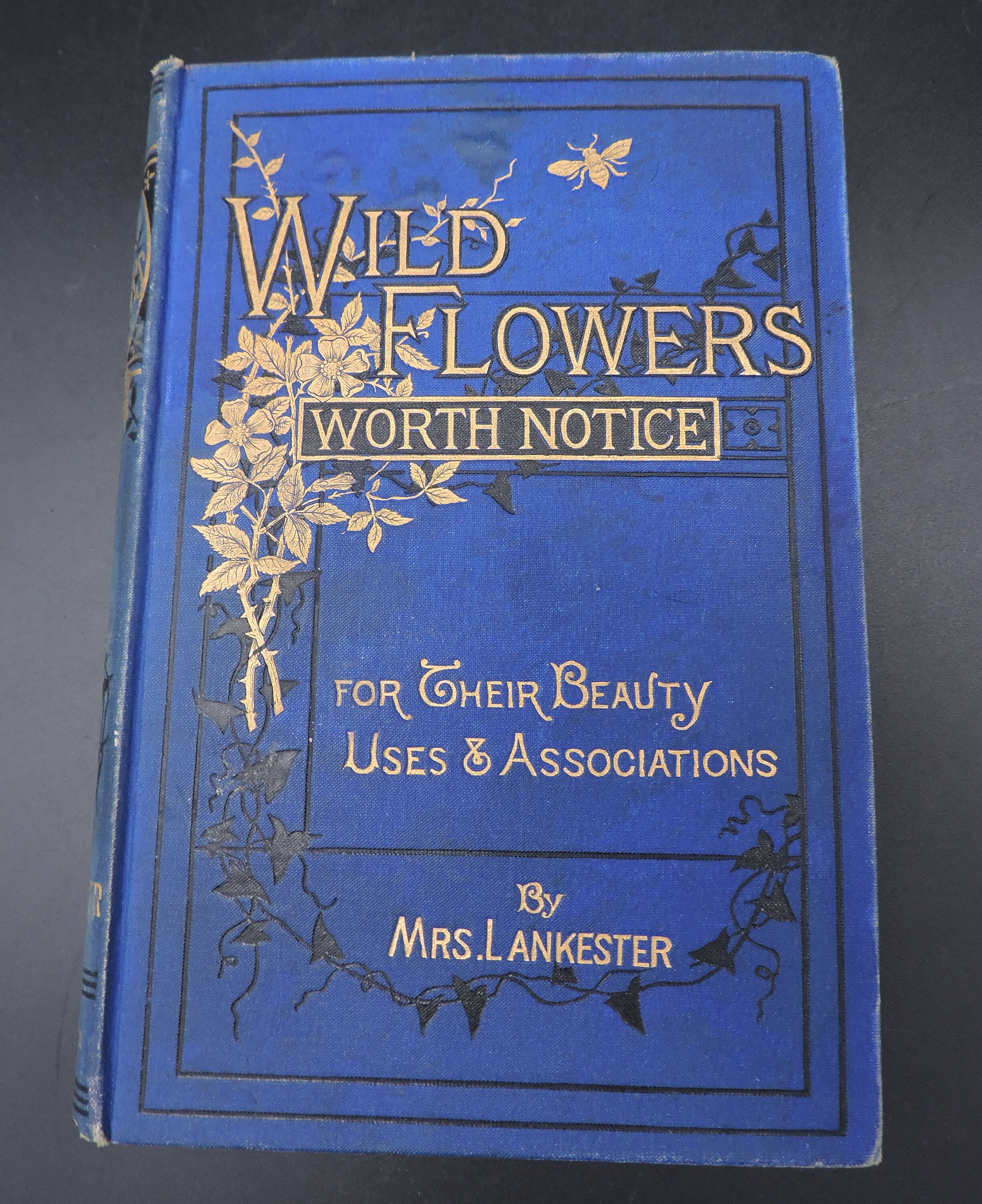 Antique Wildflower Book Wild Flowers Worth Notice by Mrs. Etsy