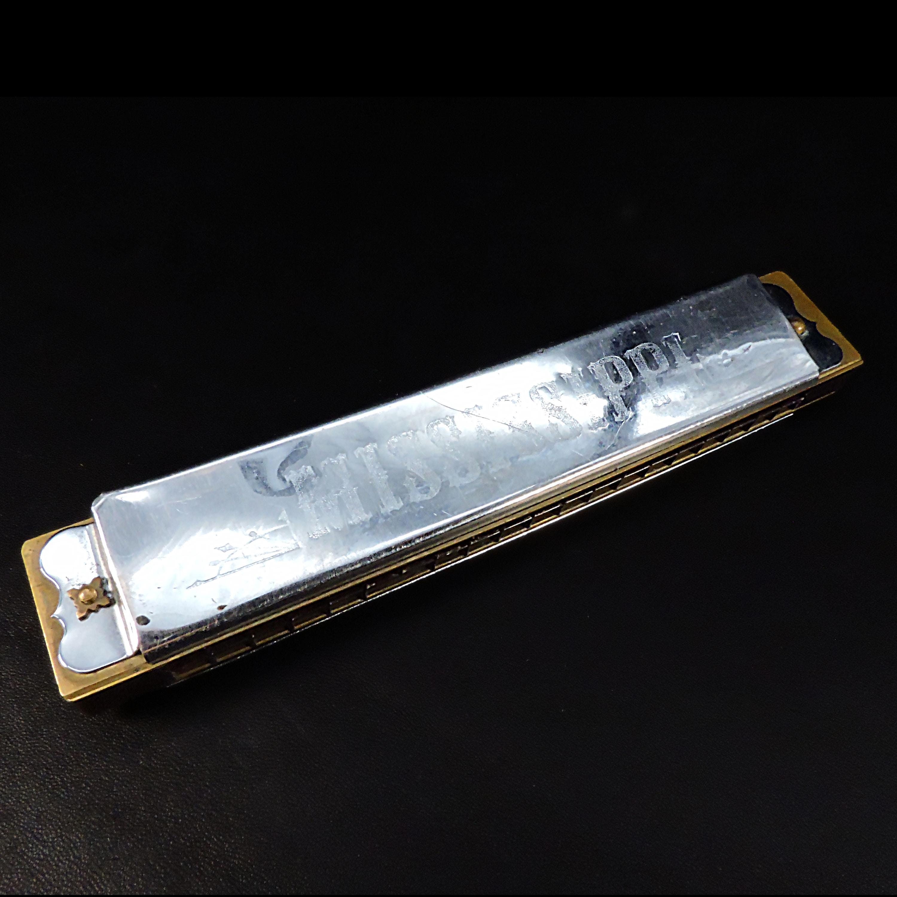 Hohner Echo Harmonica - Etsy