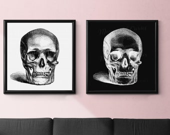 Skull Prints: Black & White, X-Ray Anatomy Art (Digital Download)