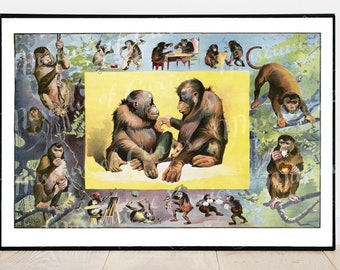 Digital, 1891, Monkeys, Chimpanzees, Vintage Circus, Theatre Poster, 19th century art, INSTANT DOWNLOAD