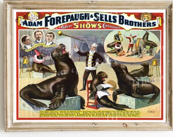 Cartel de circo de 1898: Focas, Adam Forepaugh y los hermanos Sells (descarga digital)