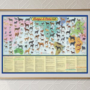 Digital, Hunde und Katzen der Welt, Bildliche Weltkarte, Illustriert, SOFORT DOWNLOAD, druckbar