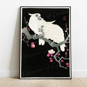 Numérique, années 1920, impression japonaise, deux cacatoès Plum Blossom, Ohara Koson, TÉLÉCHARGEMENT IMMÉDIAT, art mural imprimable
