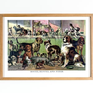 Digital, 1892, House, Kennel and Field, Dogs, Chromolithograph, INSTANT DOWNLOAD, 32 different dog breeds, printable wall art