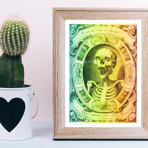 Digital, Busto Esqueleto, Egbert van Panderen, 1590-1637, Arte holandés, Símbolos Vanitas, Efecto arco iris, DESCARGA INSTANTÁNEA, 2 tamaños de tarjetas de felicitación